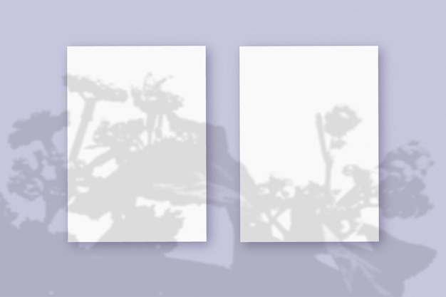 Foto a luz natural projeta sombras da planta em 3 folhas verticais de formato de papel texturizado branco, estendendo-se sobre um fundo de textura violeta. brincar.