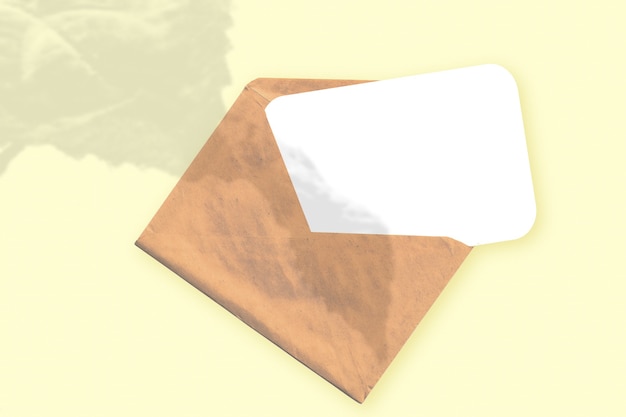 A luz natural projeta sombras da planta em um envelope com uma folha de papel branco sobre um fundo amarelo texturizado