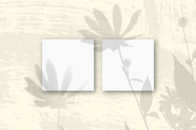 A luz natural projeta sombras de flores de alcachofra de Jerusalém em 2 folhas quadradas de papel texturizado branco
