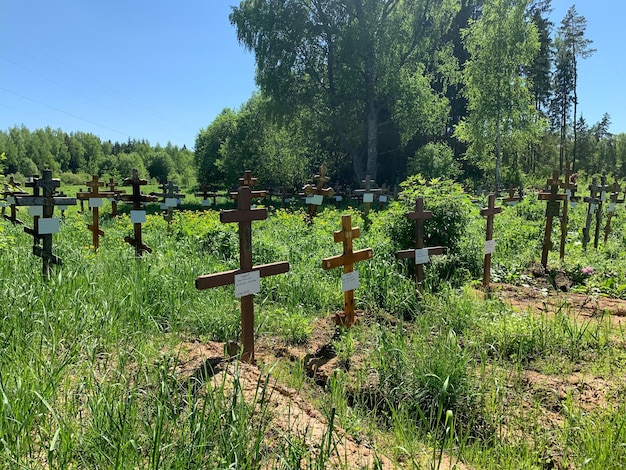 A madeira cruza-se em sepulturas no cemitério no cemitério de verão nos monumentos desconhecidos da sepultura da floresta verde no campo