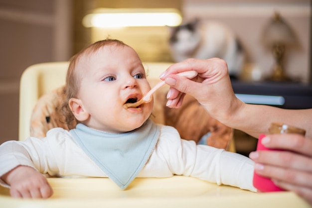 A mãe alimenta um purê de frutas feliz de uma colher Primeira comida