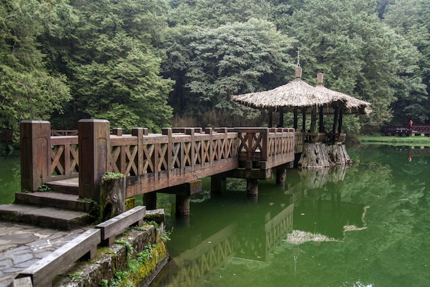 A maneira da caminhada vai ao pavilhão na área do parque nacional de alishan em taiwan.