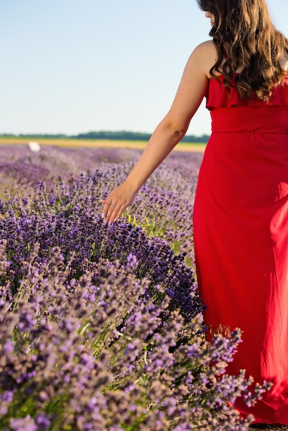 A mão da mulher a tocar a lavanda