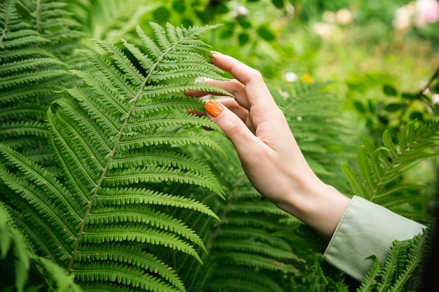 A mão da mulher toca suavemente as folhas verdes da samambaia o conceito de cuidar da natureza