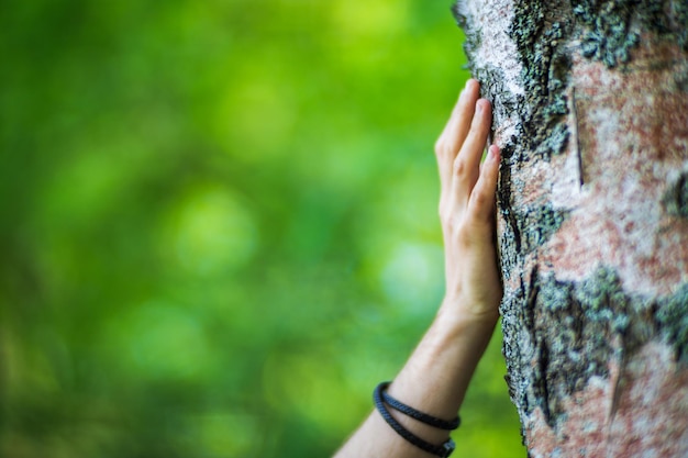 A mão de um homem toca o tronco da árvore closeup Casca de madeira Cuidando do meio ambiente O conceito de ecologia de salvar o mundo e amar a natureza pelo ser humano