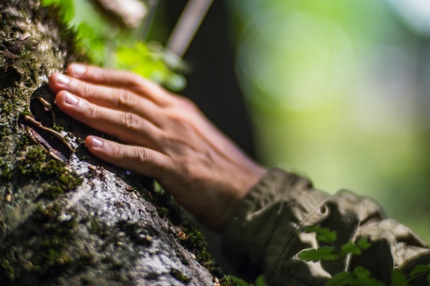 A mão de um homem toca o tronco da árvore closeup Madeira da cascaCuidar do meio ambiente A ecologia o conceito de salvar o mundo e amar a natureza pelo ser humano