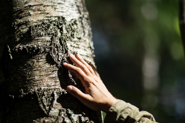 A mão de um homem toca o tronco da árvore closeup Madeira da cascaCuidar do meio ambiente A ecologia o conceito de salvar o mundo e amar a natureza pelo ser humano