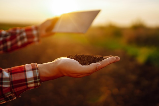 A mão do agricultor especialista coleta o solo e verifica a saúde do solo antes do crescimento de uma semente de vegetal