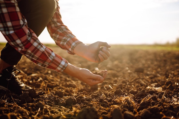 A mão do agricultor especialista coleta o solo e verifica a saúde do solo antes do crescimento de uma semente de vegetal