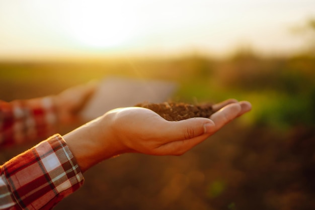 A mão do agricultor especialista coleta o solo e verifica a saúde do solo antes do crescimento de uma semente de vegetal