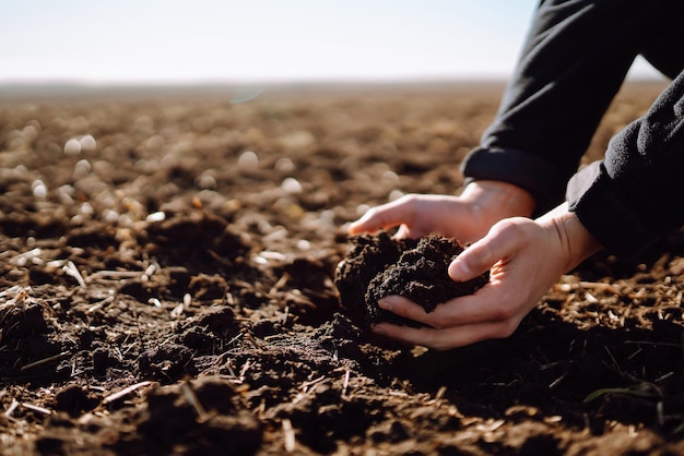 A mão do agricultor especialista coleta o solo O agricultor está verificando a qualidade do solo antes de semear o conceito de ecologia