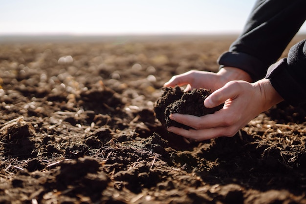 A mão do agricultor especialista coleta o solo O agricultor está verificando a qualidade do solo antes de semear o conceito de ecologia