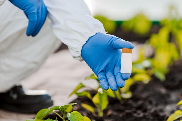 A mão do cientista segura um frasco de amostras de terra para análise