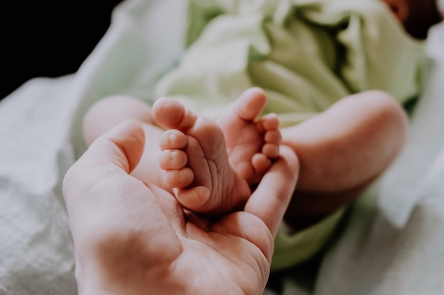 A mão feminina segura os pés bonitos do bebê recém-nascido