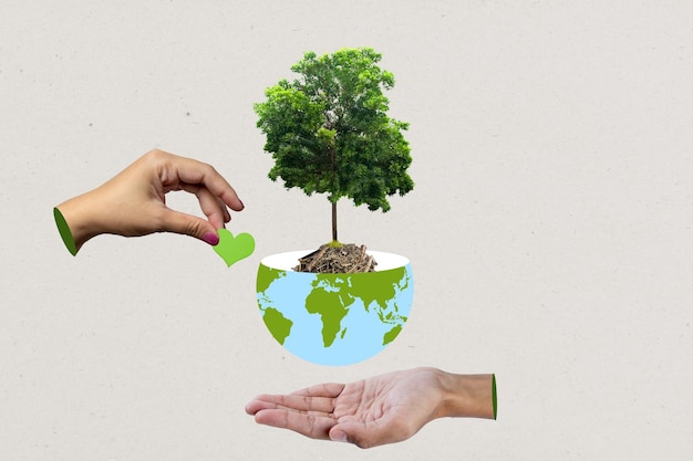 A mão humana dá amor ao solo na metade da terra com uma árvore verde sobre ela com um fundo colorido
