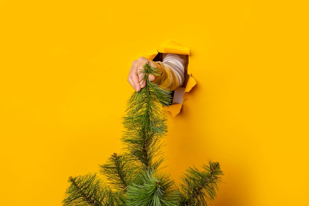 A mão segura uma árvore de Natal em um fundo amarelo Conceito para Ano Novo e Banner de Véspera de Natal