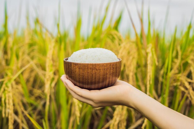 A mão segura uma xícara de arroz cozido em uma xícara de madeira, no contexto de um campo de arroz maduro.