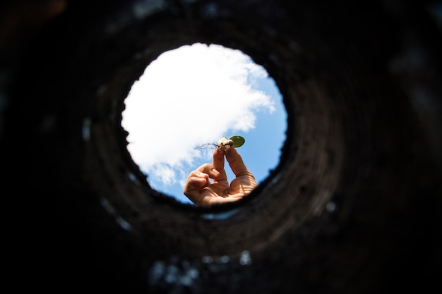 A mão trabalhadora que cultiva o jardim visto de dentro da terra