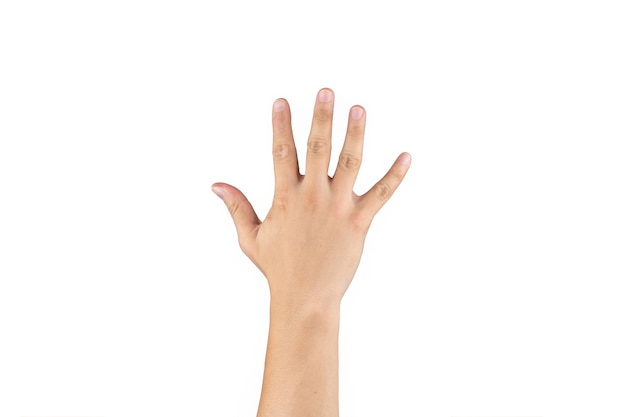 A mão traseira asiática mostra e conta 5 (cinco) sinais no dedo no fundo branco isolado. Trajeto de recorte
