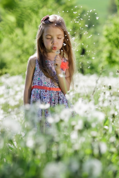 A menina aprecia o dente-de-leão da flor no campo verde ou no dia ensolarado do prado na primavera.