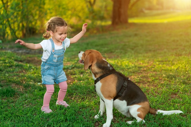 A menina caucasiano pequena anda com seu cão no verão no parque na natureza. Raça beagle