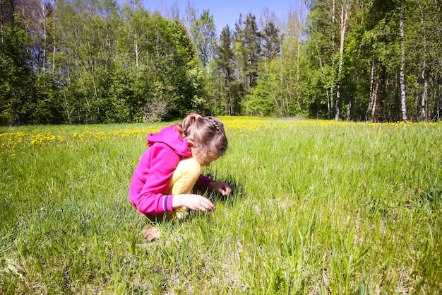 A menina coleta flores no campo em dia ensolarado