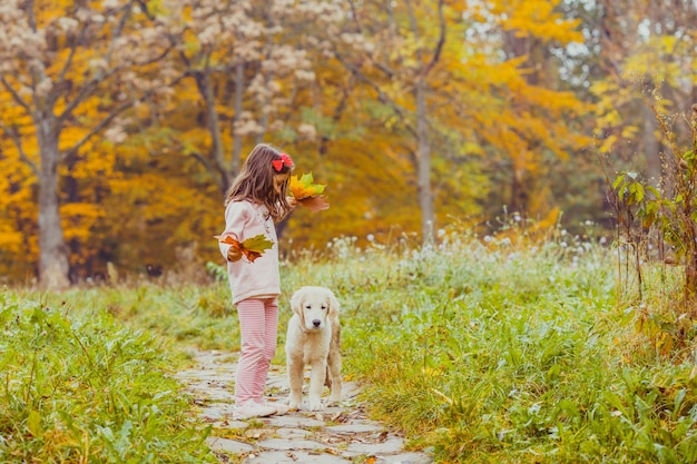 A menina e seu cachorro golden retriever