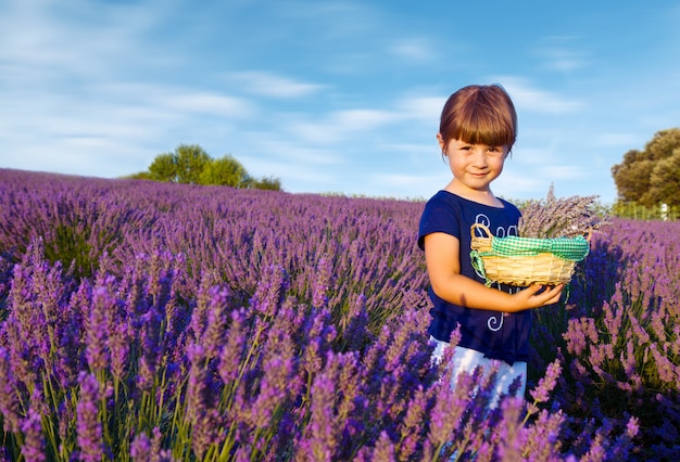 A menina feliz está em um campo da alfazema guarda uma cesta do flowe