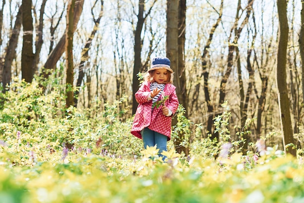 A menina feliz no chapéu azul anda na floresta da primavera durante o dia