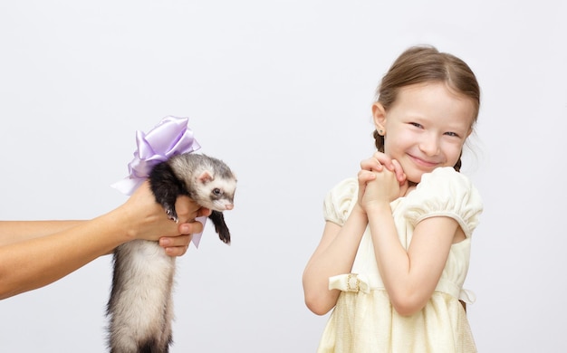 A menina feliz tem um furão de estimação presente no fundo branco