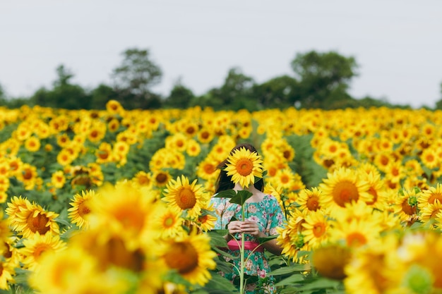 A menina morena em um campo de girassóis