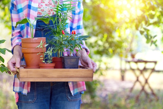 A menina planta uma planta