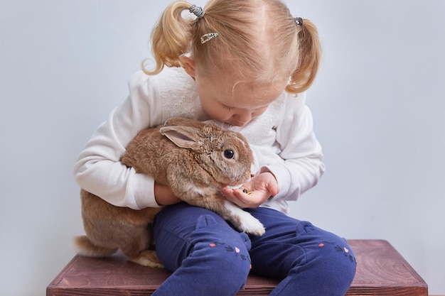 A menina se alimenta das mãos de um coelho decorativo um animal de estimação