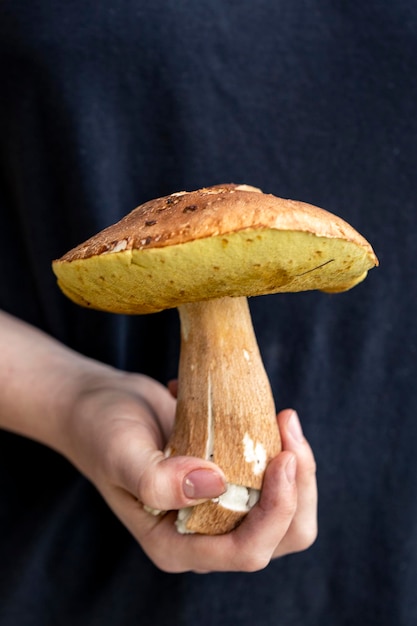 A menina segura um cogumelo comestível na mão Comida vegetariana Comida rica em proteínas e fibras