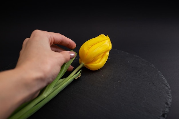 A menina toca uma bela flor com as mãos