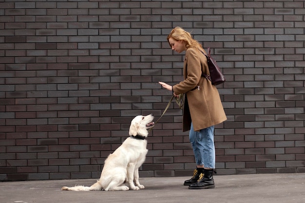 A menina treina um filhote de retriever dourado em uma rua da cidade