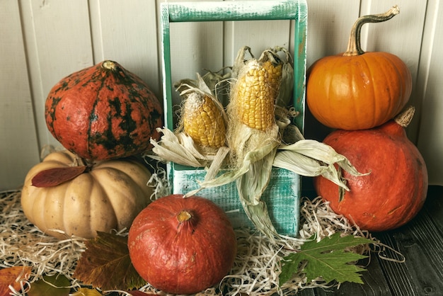 A mesa de madeira decorada com vegetais, abóboras, milho e folhas de outono. Fundo de outono. Dia de ação de Graças ou conceito de Halloween.