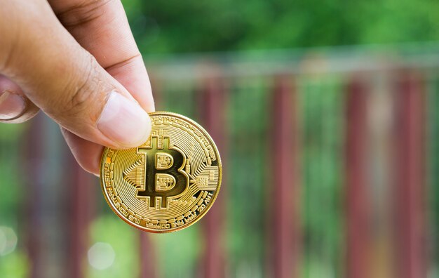 Foto a moeda digital gold bitcoin está nas mãos dos empresários.