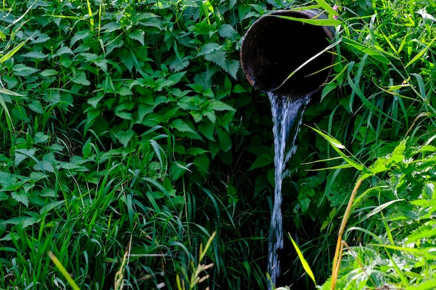 A mola natural flui do tubo através das urtigas do arvoredo