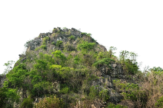 A montanha possui muitas árvores naturais separadas do fundo branco