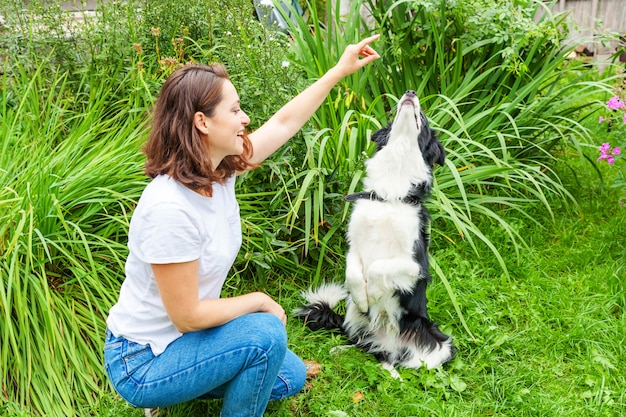 A mulher atrativa nova de sorriso que joga com cão de cachorrinho bonito border collie no jardim do verão ou na cidade estaciona. Truque de treinamento de garota com amigo de cachorro. Conceito de cuidados e animais de estimação.