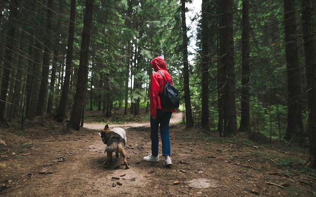 A mulher em uma capa de chuva vermelha anda com dois cães na floresta H