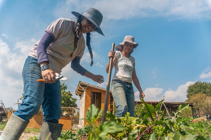 Foto a mulher está no campo agrícola durante o dia