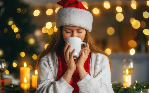 A mulher está preparando o jantar de Natal