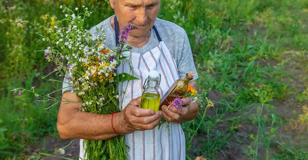 A mulher idosa faz o foco seletivo da tintura de ervas