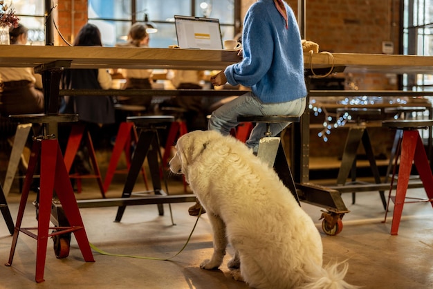 A mulher senta-se com seu cão no café moderno