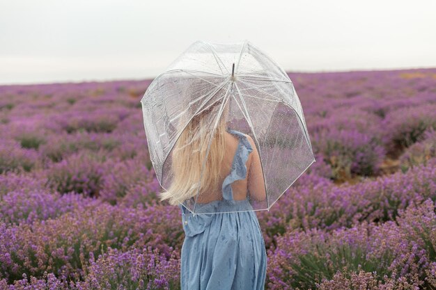 A mulher sob o guarda-chuva transparente fecha a foto de foco suave. Sob a chuva em campos de lavanda