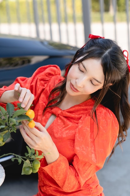 A mulher veste um traje cheongsam com laranjeiras Ano Novo Lunar