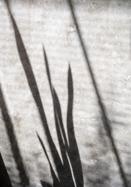 Foto a natureza abstrata das sombras das folhas e o fundo desfocado refletem nas paredes de concreto, pode colocar sua maquete ou desenho aqui