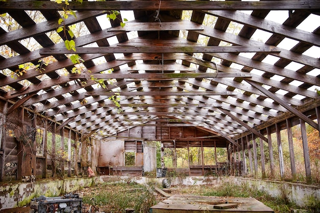 Foto a natureza em decomposição iluminada pelo sol recupera o celeiro abandonado em bicentennial acres, indiana